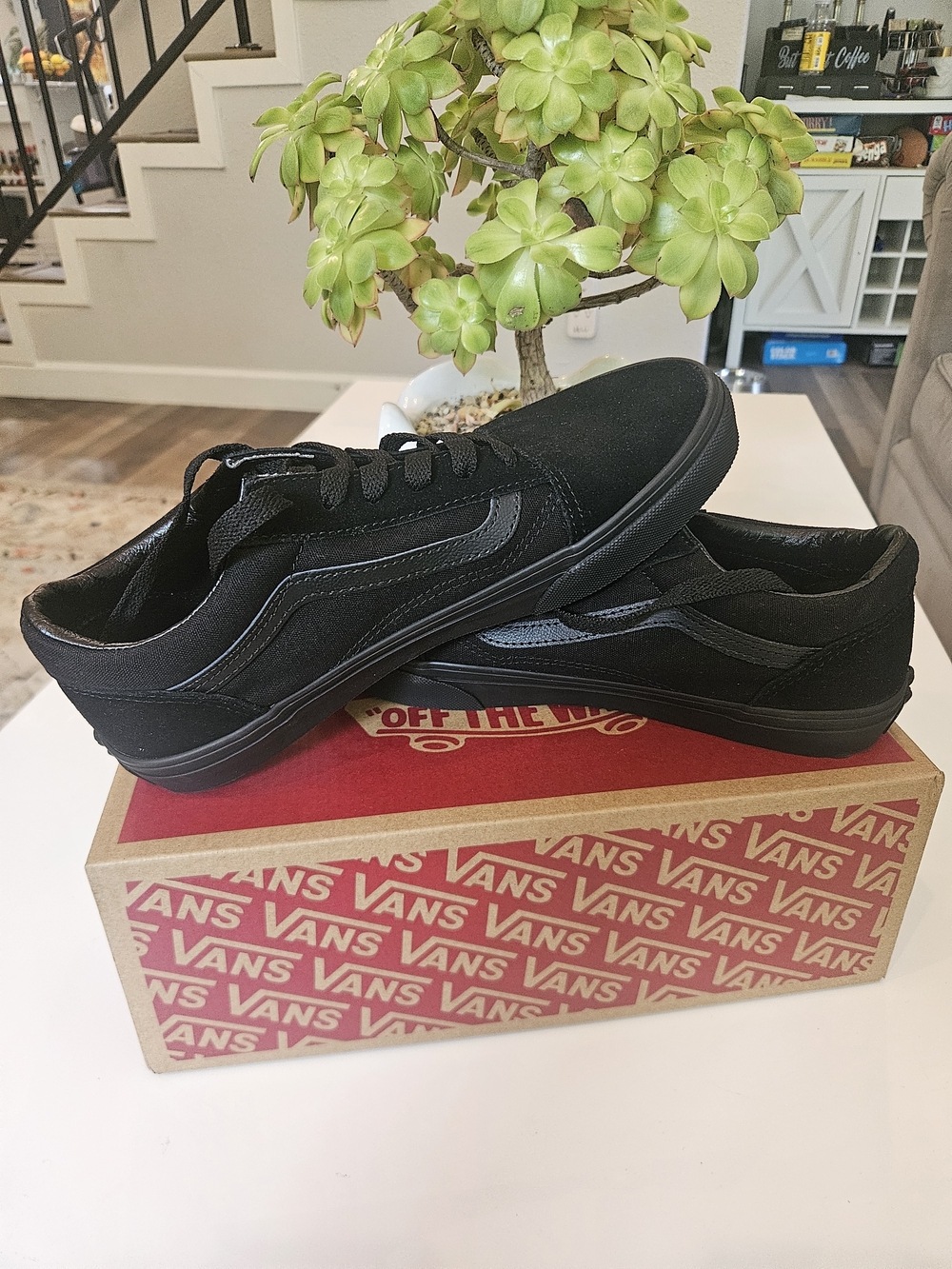 BRAND NEW Vans Old Skool Black Low-Top Sneakers